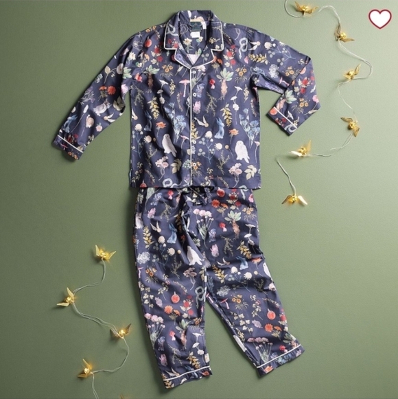 Pottery Barn Harry Potter Herbology Loose Pajama PJ Set Button Top & Pants NWT M - Picture 2 of 4